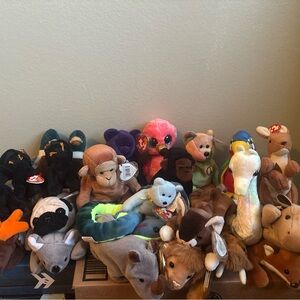 Ty Stuffed Animals Collection - Multicolor